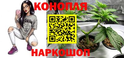 jwh Партизанск