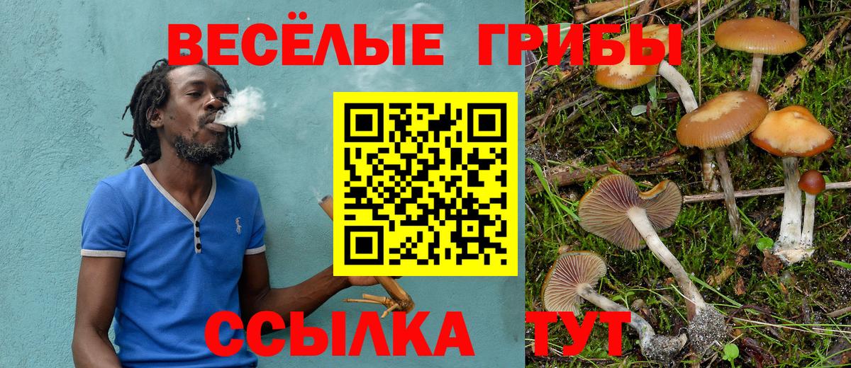 Псилоцибиновые грибы мухоморы  Вход с VPN  Серов 