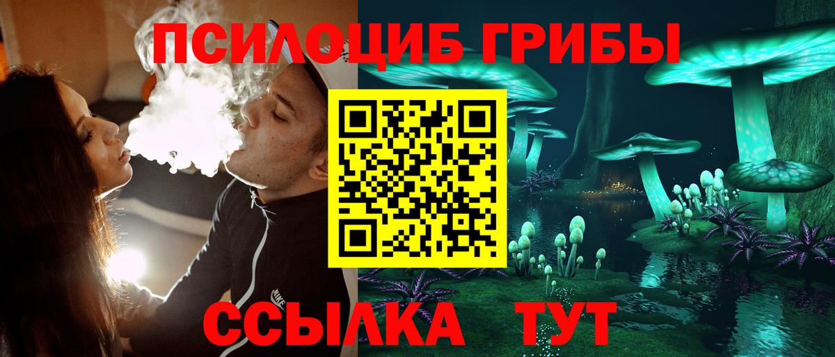 Псилоцибиновые грибы мицелий Серов